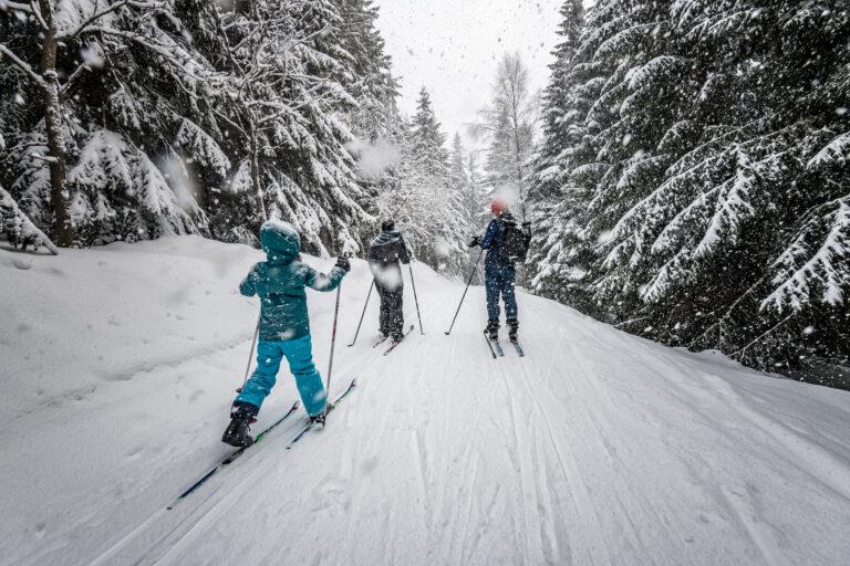 Three men snowboarding through a snowy forest on a mountain, enjoying the winter adventure.