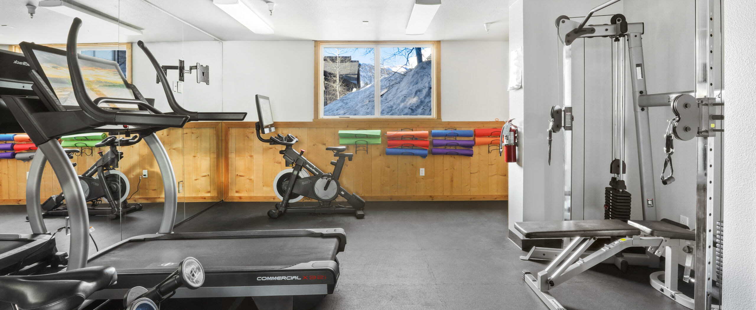 Photograph of a gym interior showcasing numerous exercise equipment.