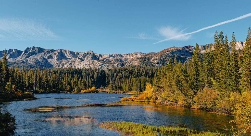 Stunning sea view photographed beside a dense forest near the mountainous terrain.