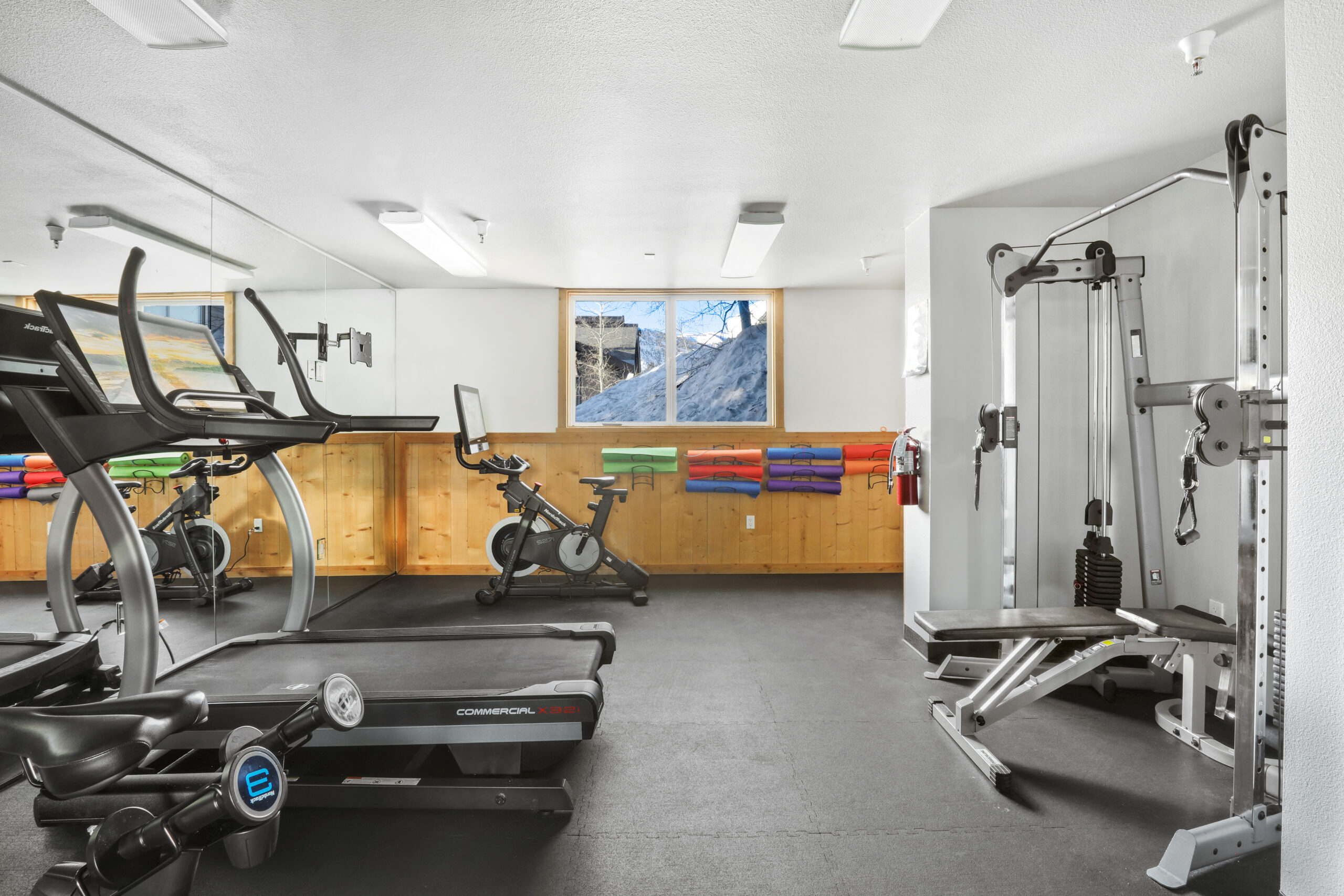 A photo displays a gym interior featuring a variety of exercise equipment.