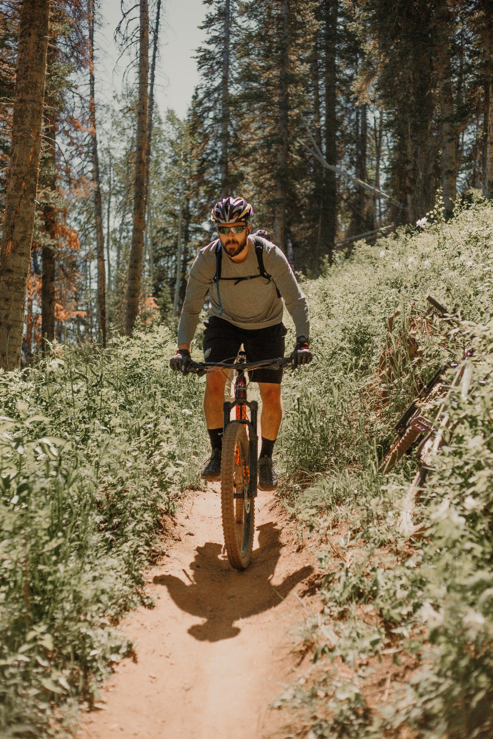 Chris Henry cycles through the forest, surrounded by lush greenery and natural beauty.