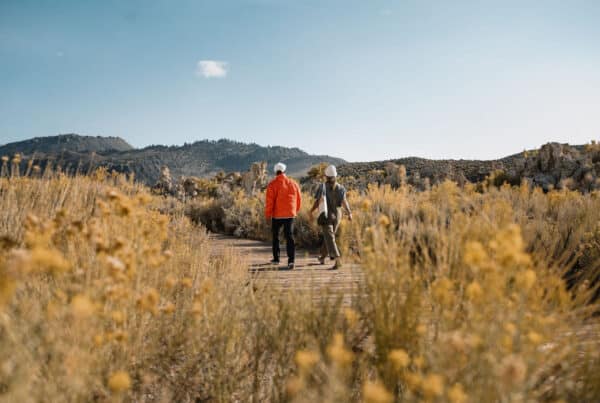 offer advanced purchase