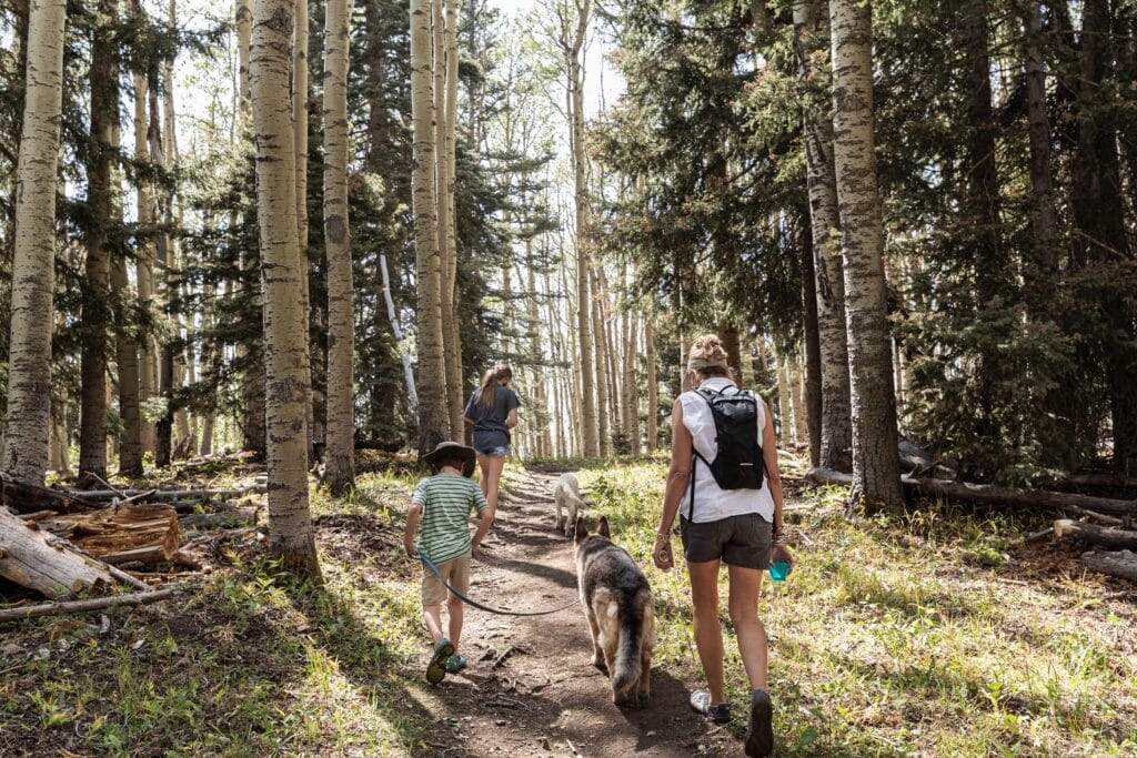 A family hikes with their dogs in the woods near our Mammoth hotel