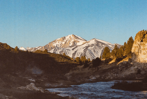 Outbound mammoth offer - government