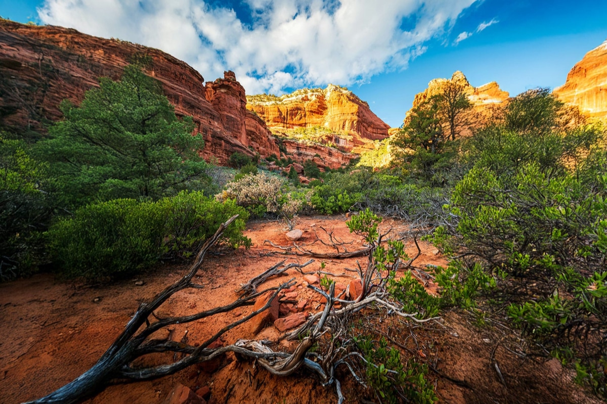 Outbound Sedona | Sedona Hotel | Official Site