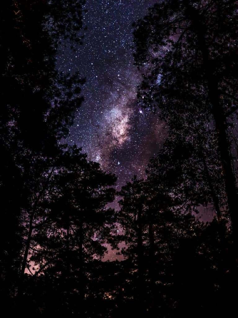 Outbound Stowe - Stargazing - Stars Through Trees