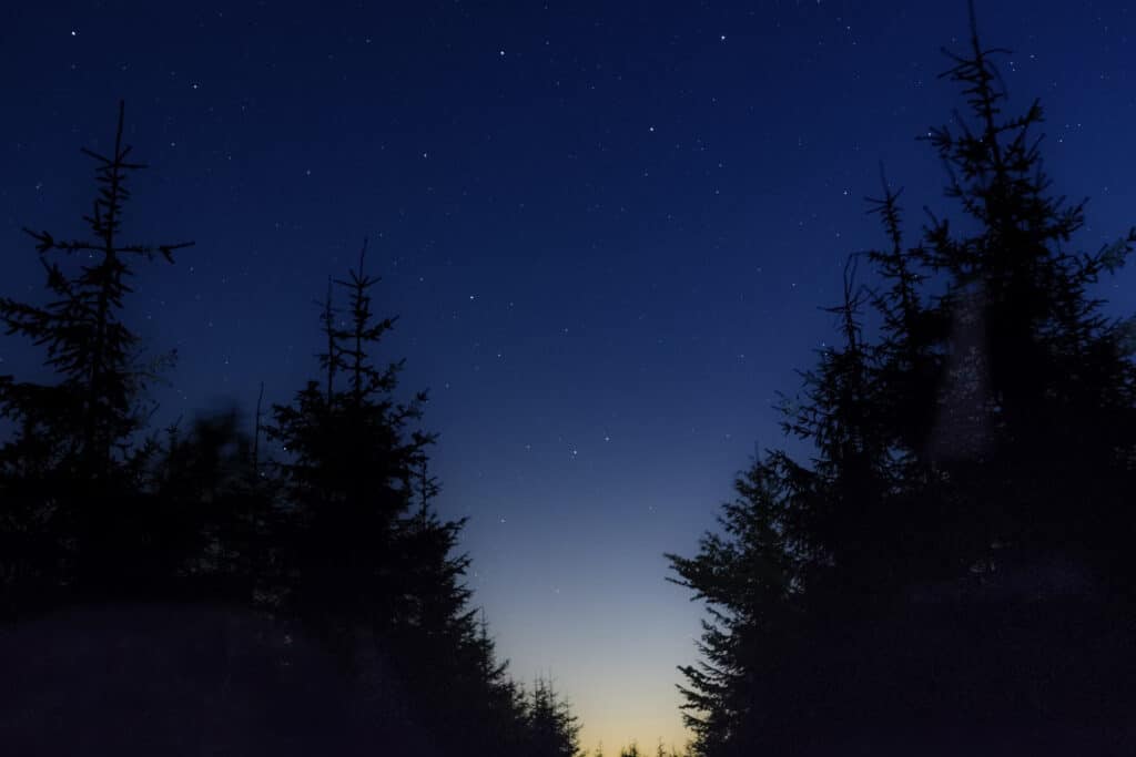 Outbound Stowe - Stargazing - Stars Between Trees