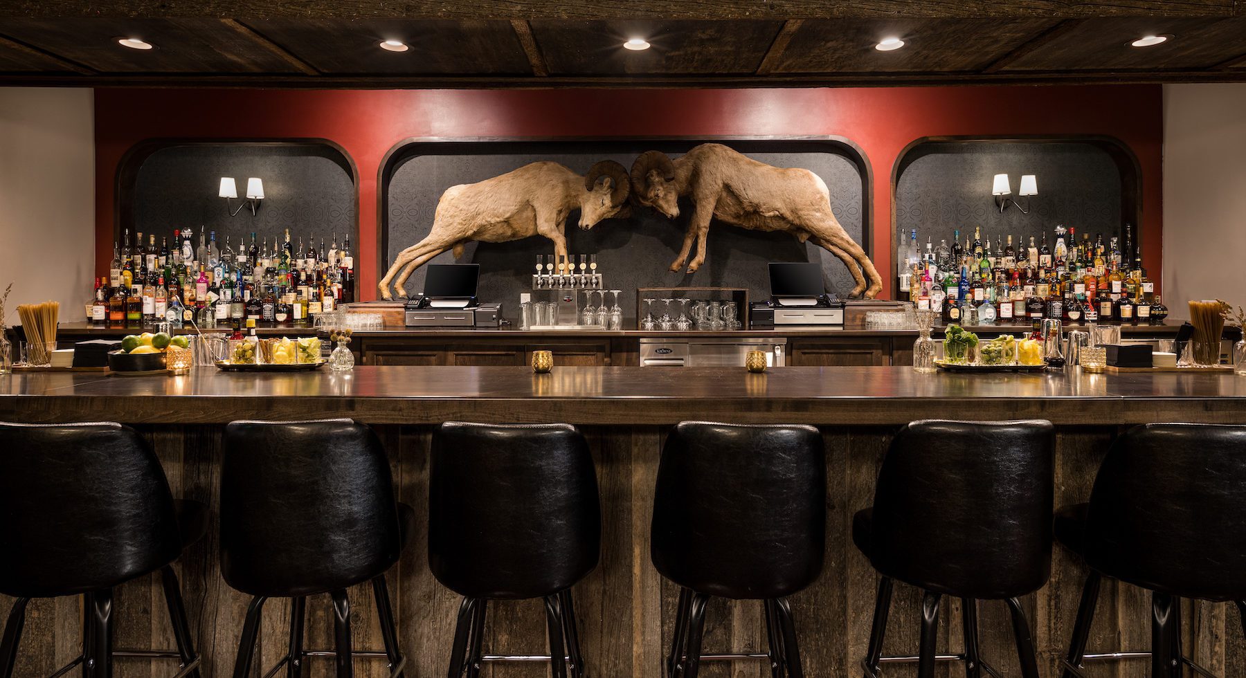 Chairs neatly arranged by the bar counter, with a display featuring a longhorn goat fighting theme.