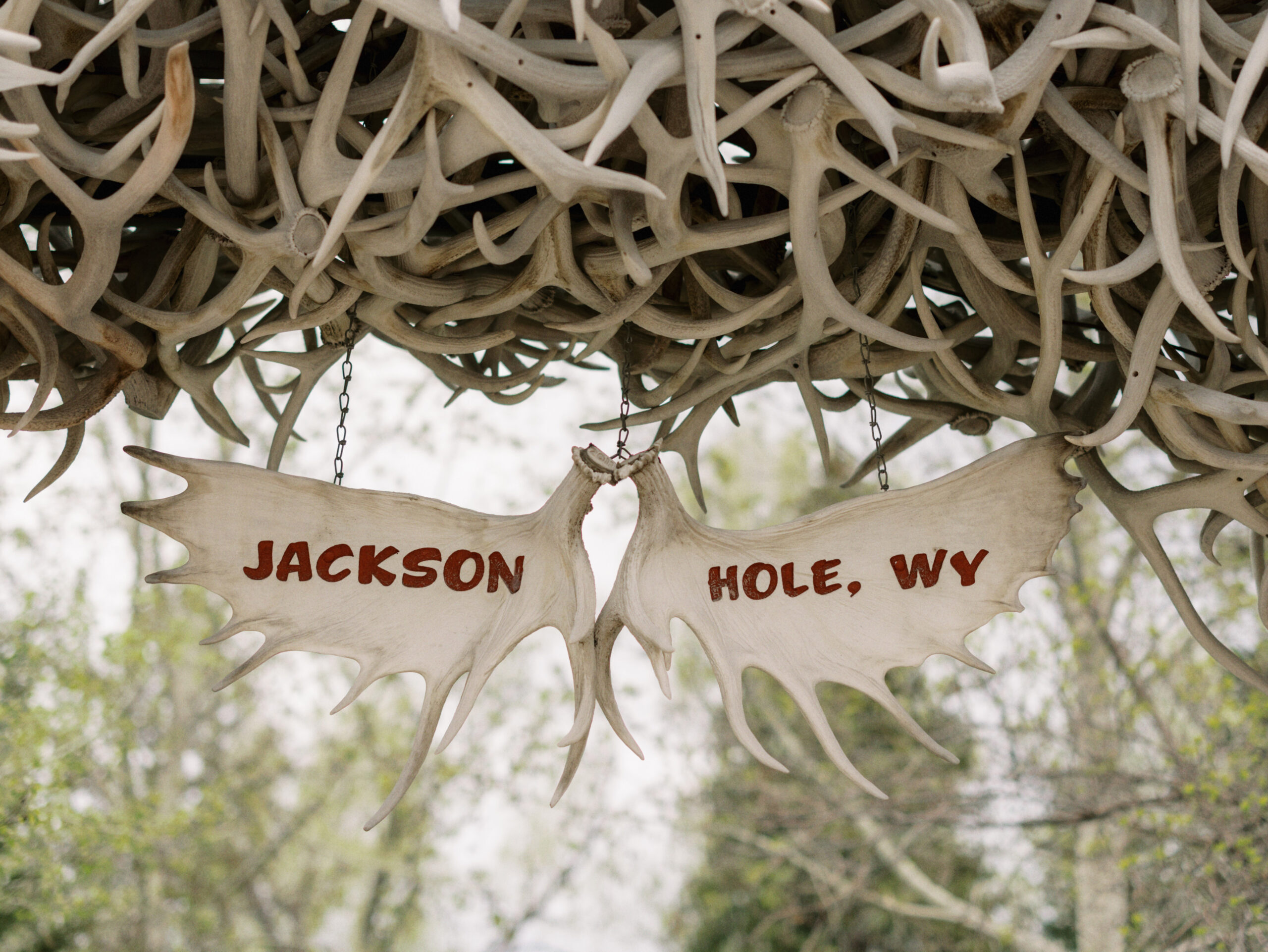 The captivating Antler Arches design in Jackson Hole impressively captures attention with its unique display.