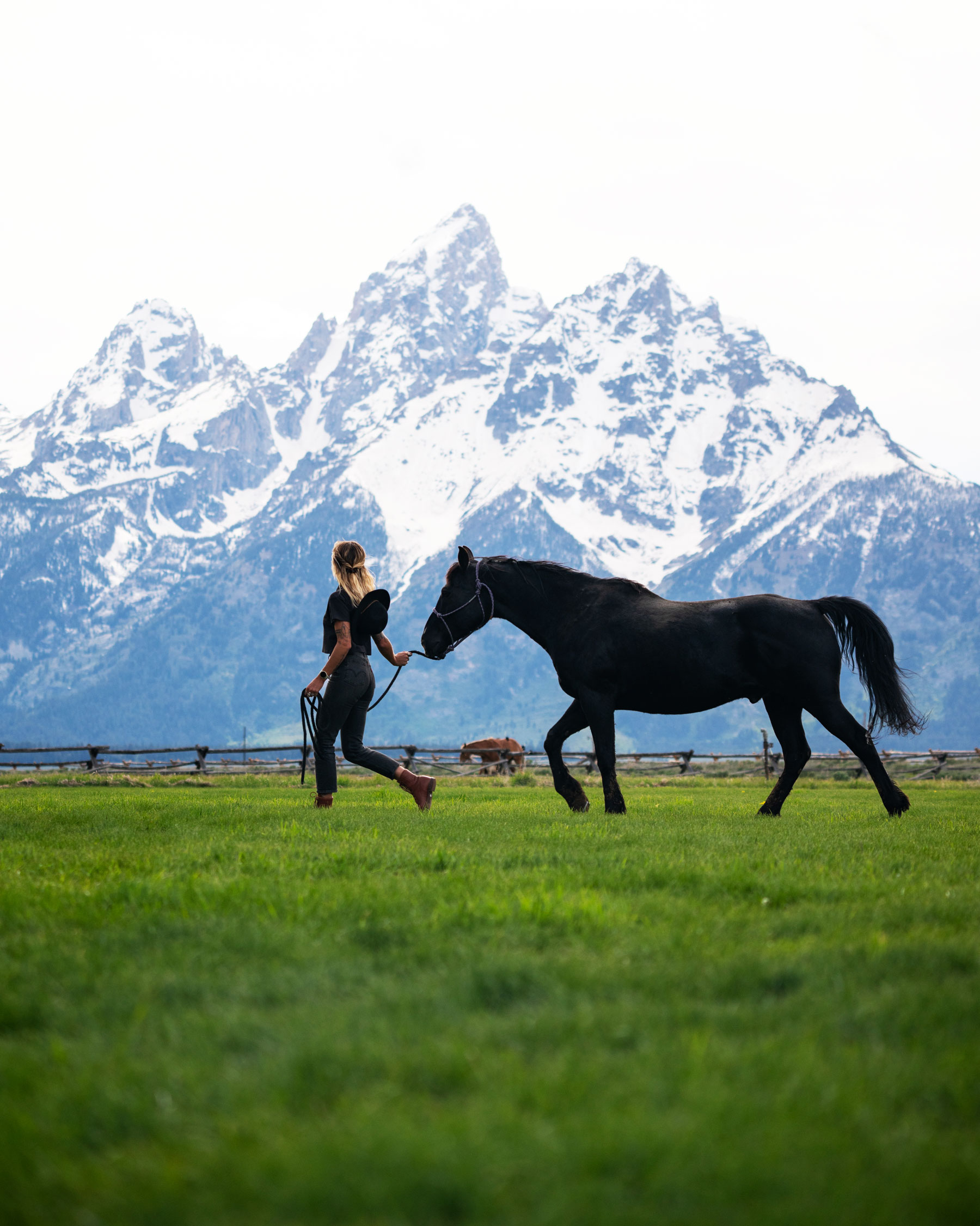Girl in black dress holds rope of her black horse, twirling in grassy land, admiring snowy mountain views in the distance.