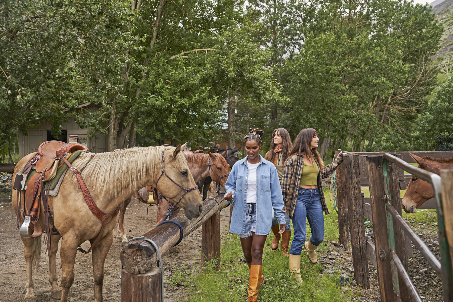 Three women casually pass an open stable, while horses observe with curious and intrigued looks.