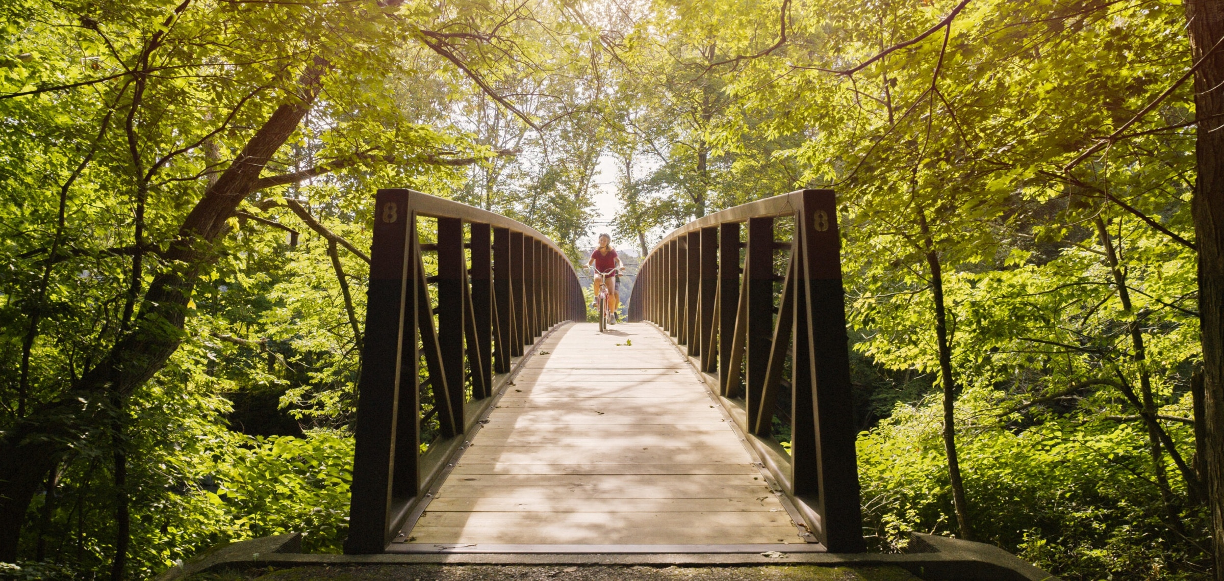 Local's Guide to the 13 Best Waterfalls, Wildflowers, and Scenic Trails Near Stowe