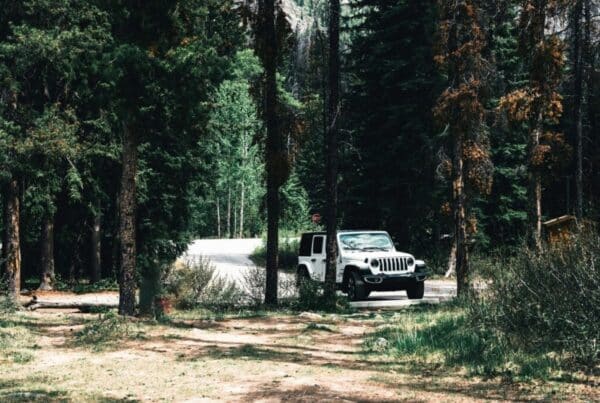 Outbound Mammoth-Offer-AAA Member Rate