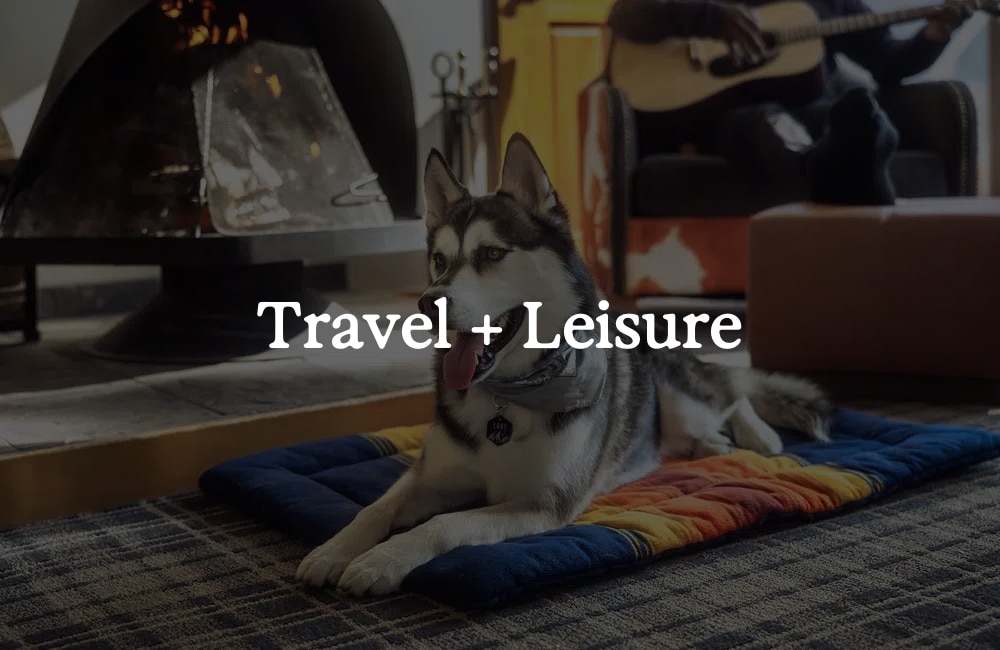 Husky dog on blanket by fireplace with “Travel + Leisure” text overlay.