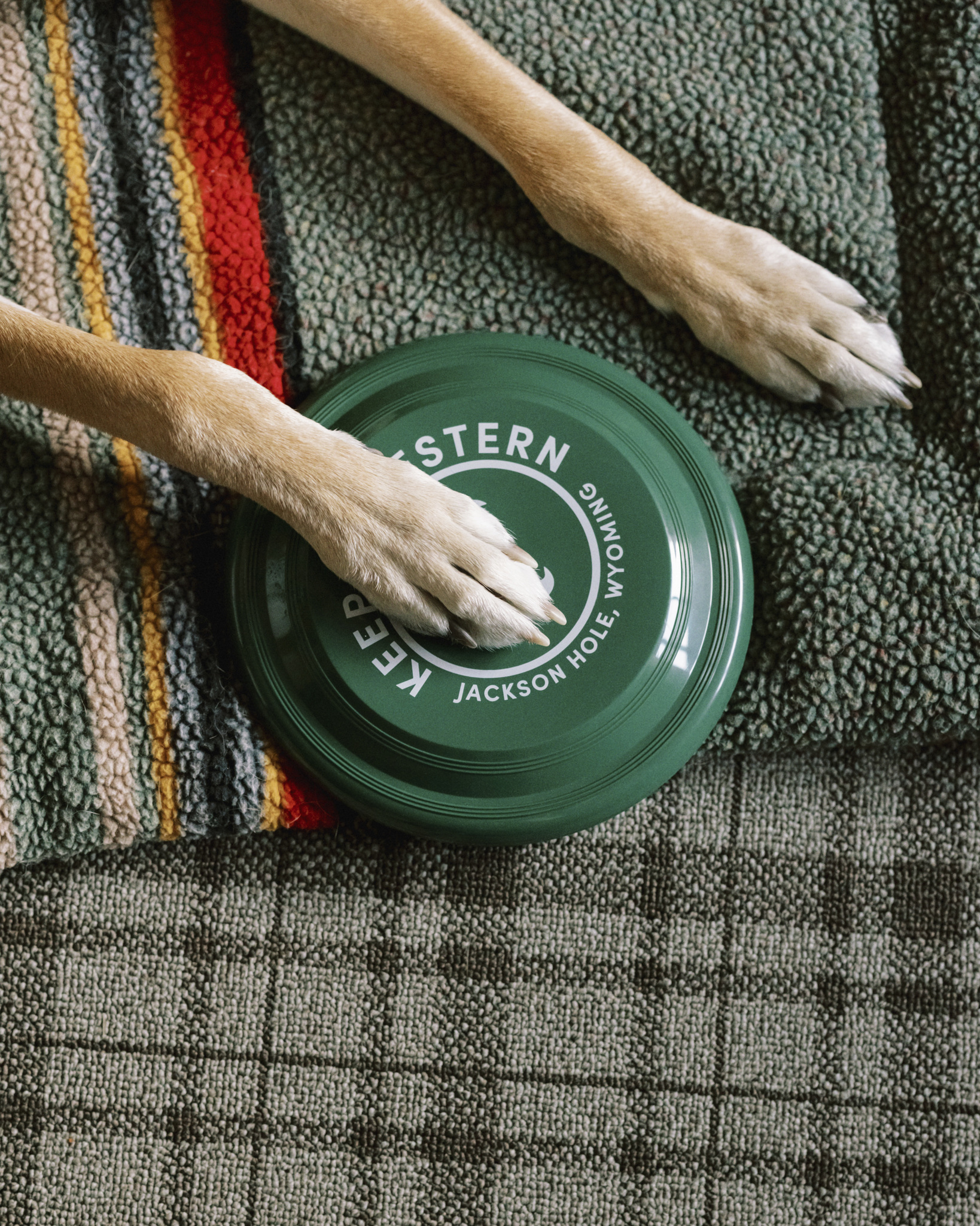 Elegant image: a dog's paw rests on a disc bearing "Jackson Hole, Wyoming."
