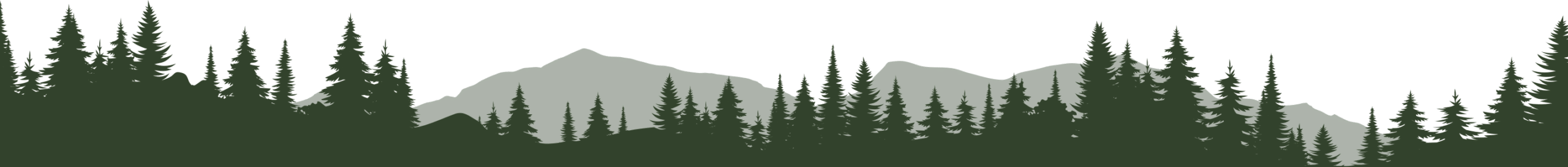 The Virginian Lodge - Forrest Terrain Divider