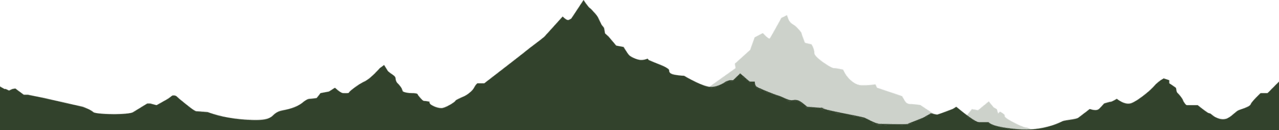 The Virginian Lodge - Mountain Divider